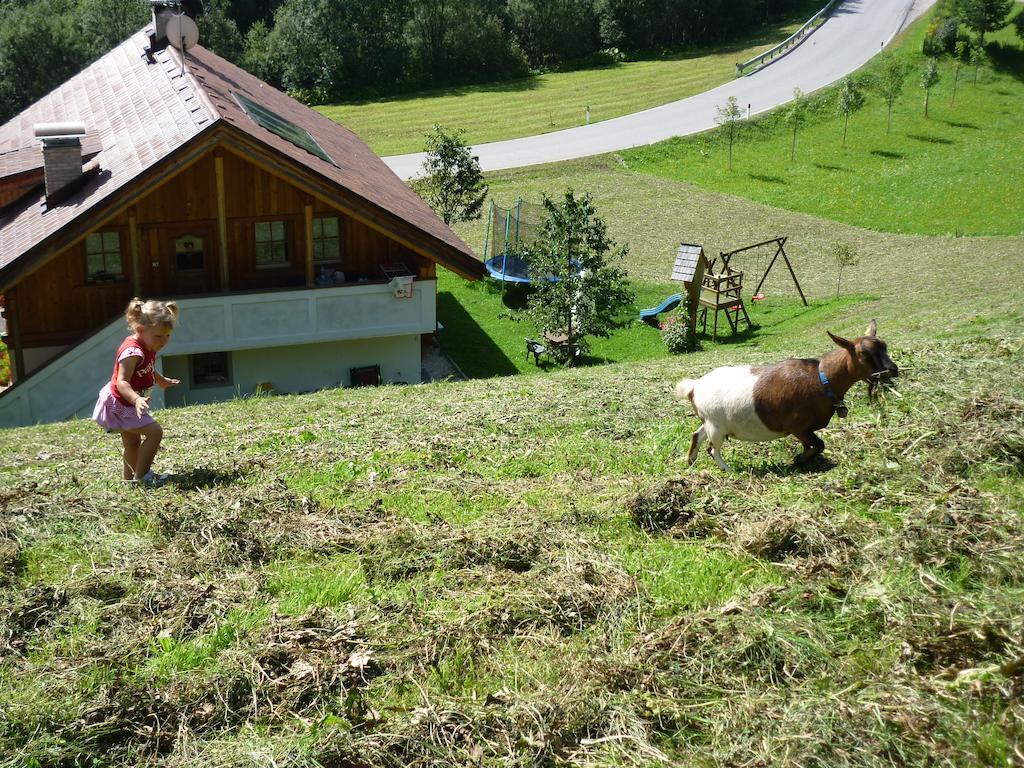 Agriturismo La Flu San Martino in Badia Exterior foto